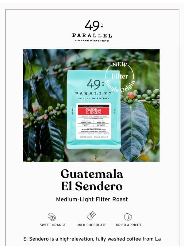 New Single Origin: Guatemala El Sendero email from 49th Parallel Coffee Roasters