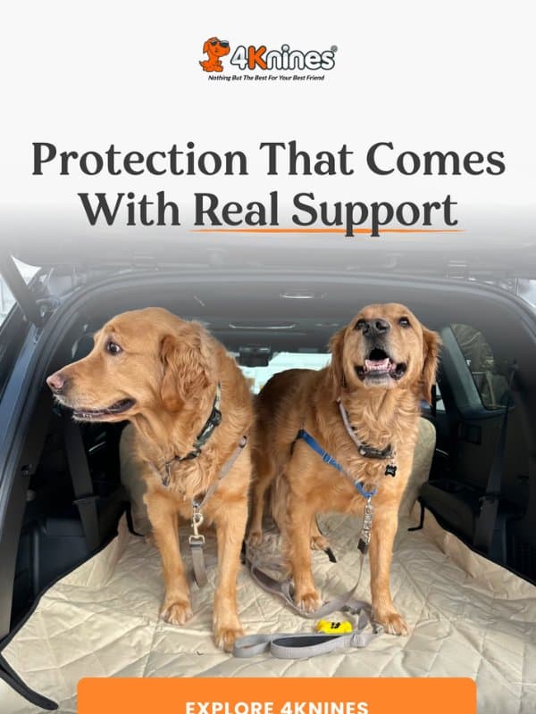 Protection designed to last email from 4Knines