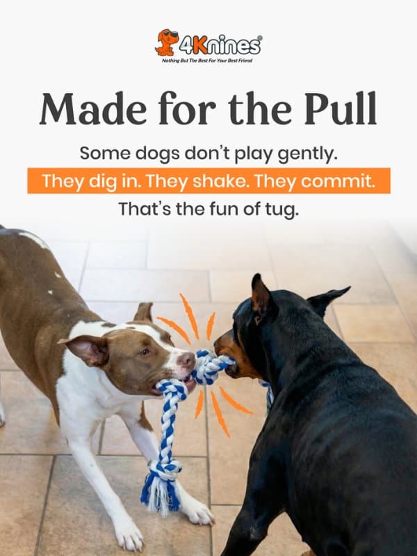 It’s International Tug of War Day 🐾 email from 4Knines
