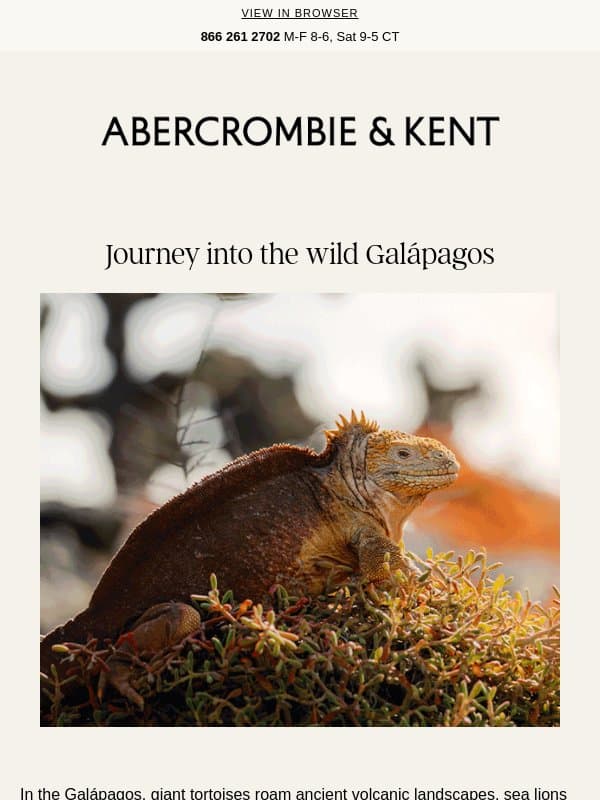 The Galápagos, where wildlife writes the itinerary email from Abercrombie & Kent