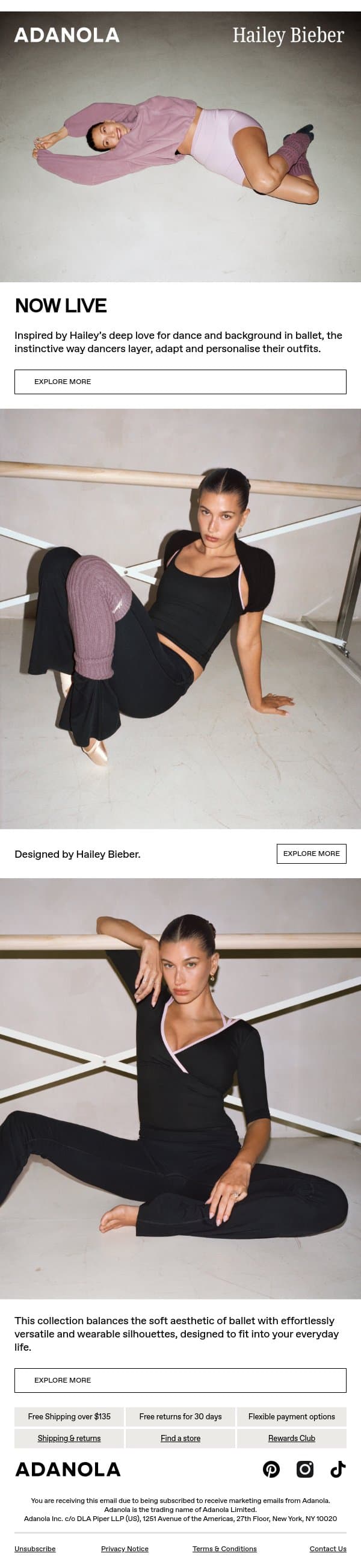 Live: Adanola x Hailey Bieber email from Adanola screenshot