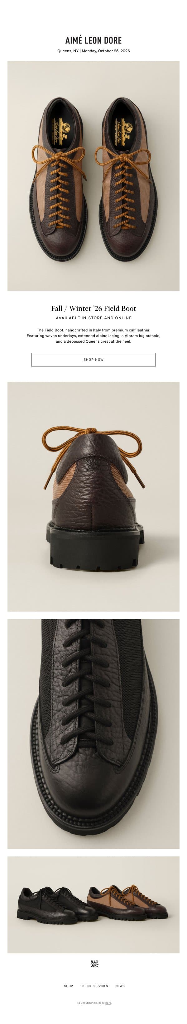 FALL / WINTER ‘26 FIELD BOOT email from Aime Leon Dore screenshot