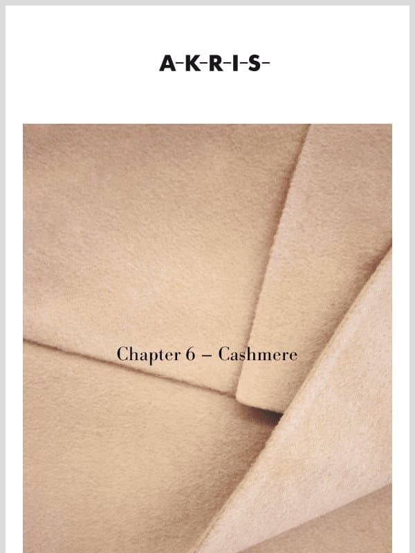 The Akris Chronicles: Chapter 6 - Cashmere email from Akris