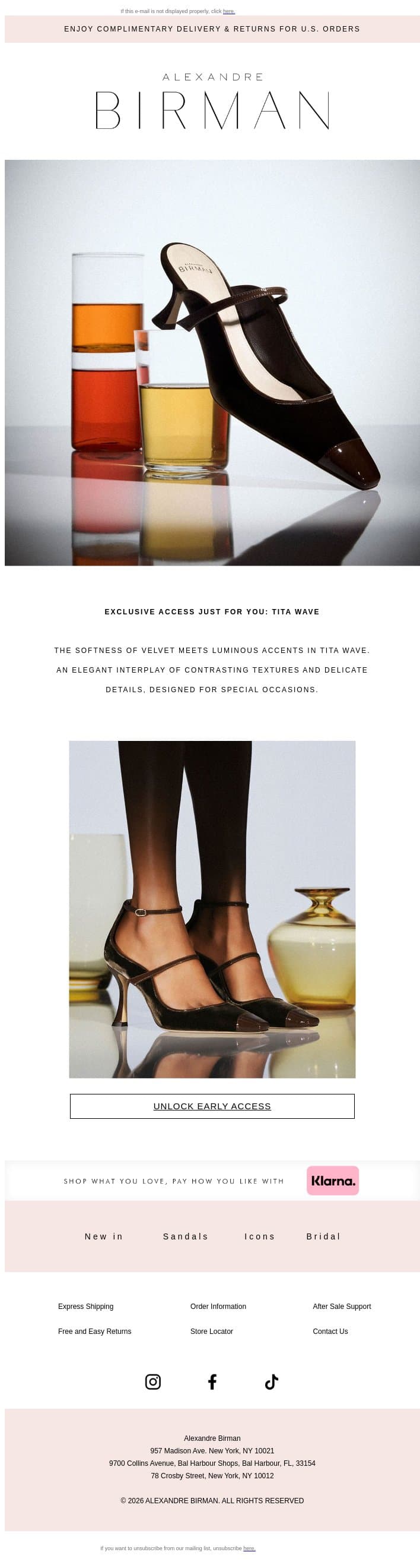Introducing Tita Wave email from Alexandre Birman screenshot