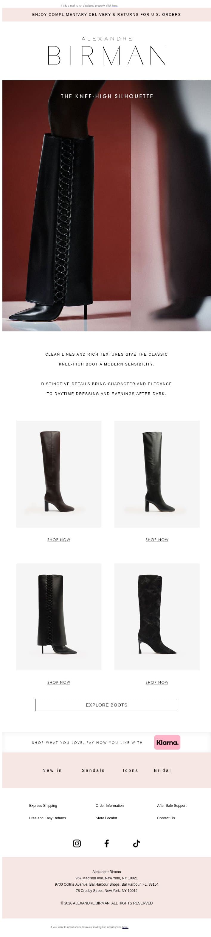 The Knee-High Edit email from Alexandre Birman screenshot