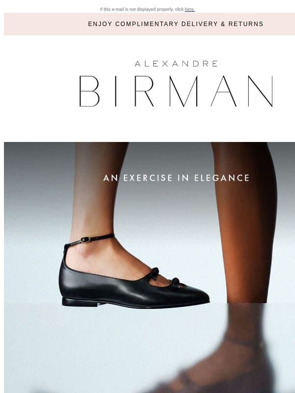 An Exercise in Elegance email from Alexandre Birman