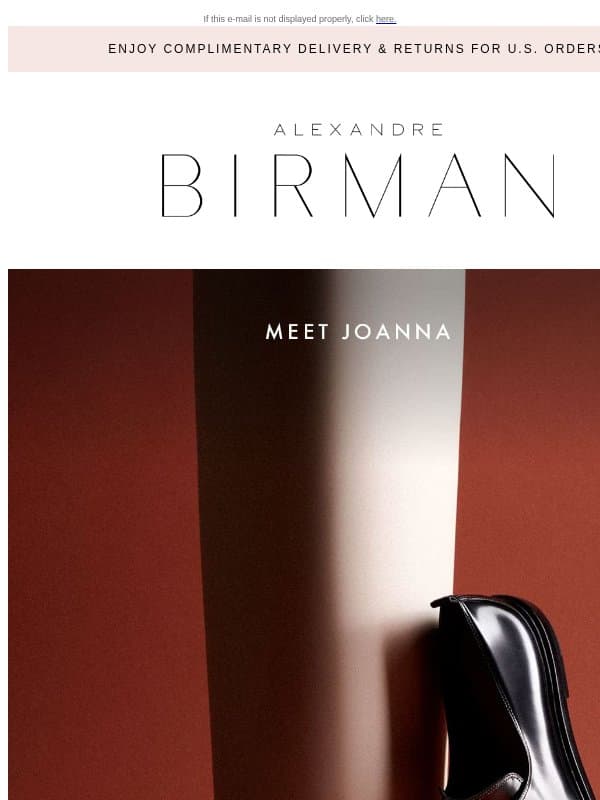 Introducing Joanna email from Alexandre Birman