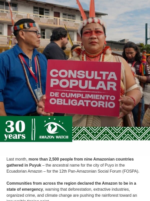 ✊🏽 Indigenous Peoples delivered a Mandate the world cannot ignore email from Amazon Watch