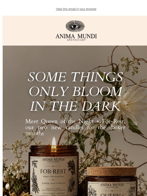 🕯️🥀 These Flowers Only Bloom in the Dark email from Anima Mundi Apothecary