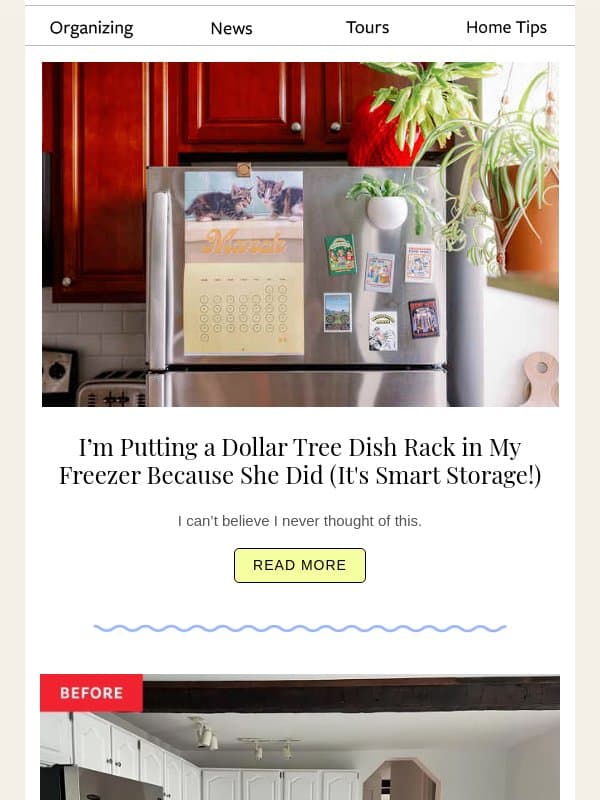 I’m Putting a Dollar Tree Dish Rack in My Freezer Because She Did (It's Smart Storage!) email from Apartment Therapy