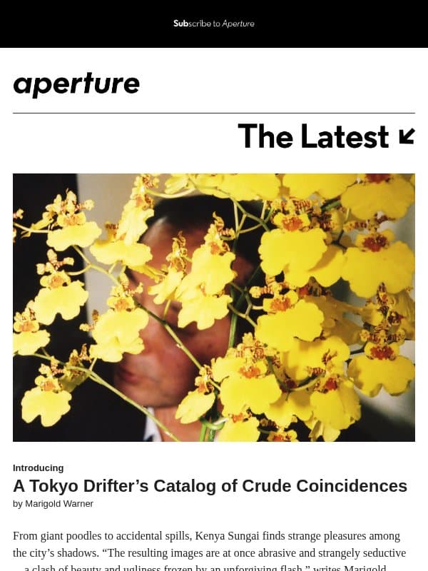 A Tokyo Drifter’s Catalog of Crude Coincidences email from Aperture