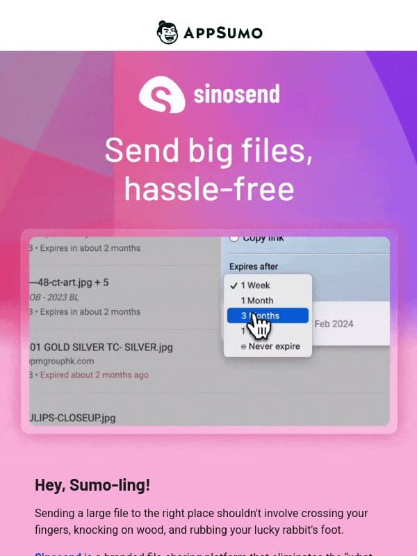 I like big files and I cannot lie email from AppSumo