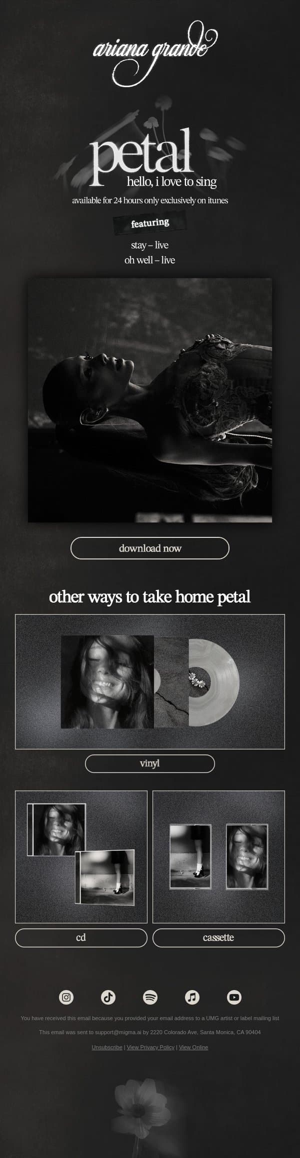 hello, i love to sing ꕤ。˚ petal itunes exclusive version email from Ariana Grande screenshot