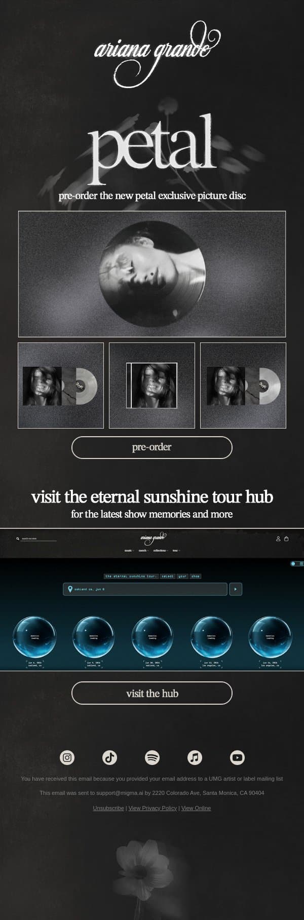 new petal picture disc ꕤ email from Ariana Grande screenshot