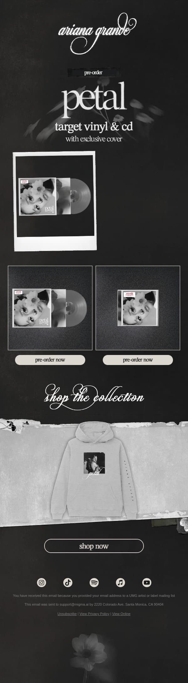 target exclusive version of petal . ꕤ 。˚⋆ email from Ariana Grande screenshot