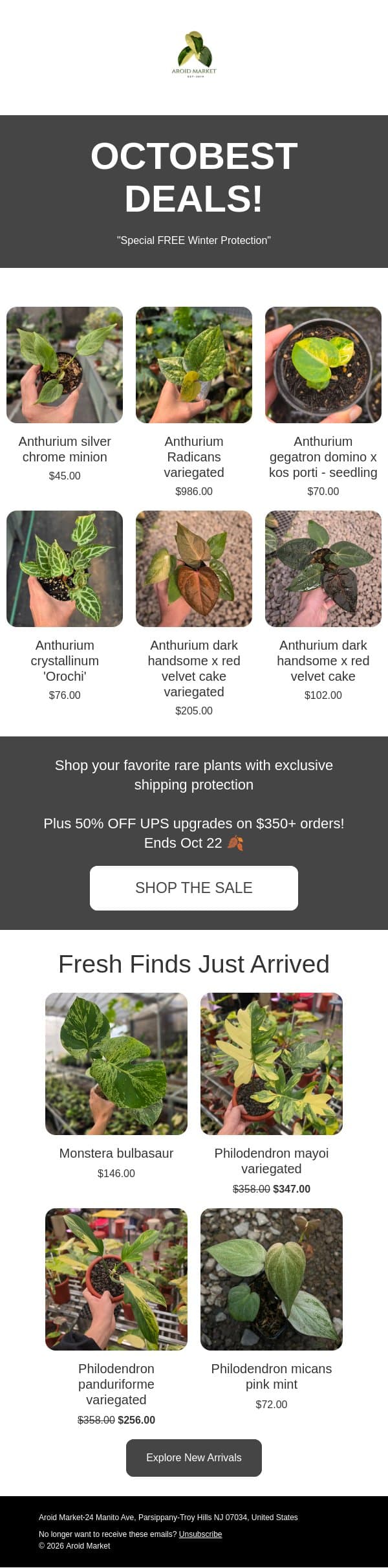 🎁 OCTOBEST DEALS! FREE Winter Protection on Every Order email from Aroid Market screenshot
