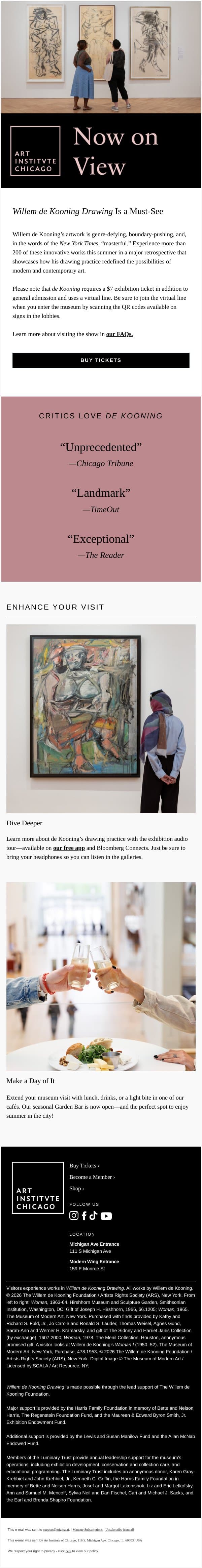 See the Work the “New York Times” Calls “Masterful” email from Art Institute of Chicago screenshot