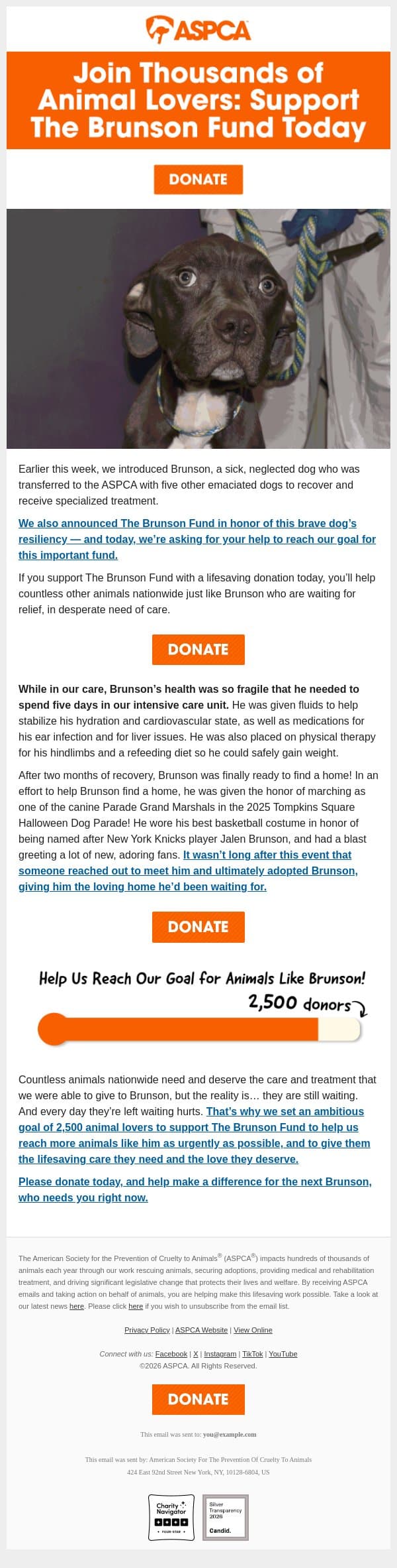 adam, animals like Brunson need your support! email from ASPCA screenshot