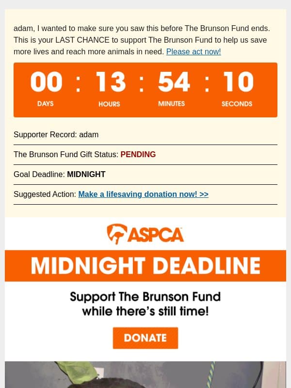 MIDNIGHT DEADLINE: Your final chance to support The Brunson Fund email from ASPCA