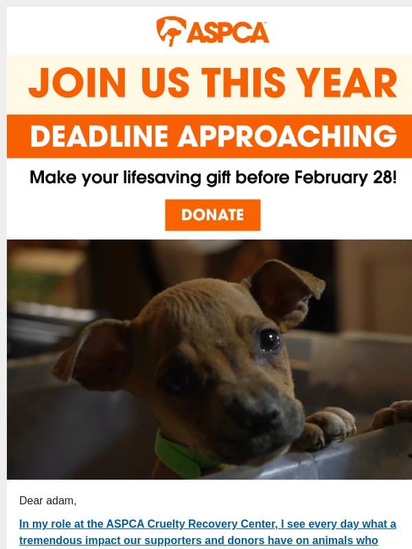 adam, there are just days left email from ASPCA