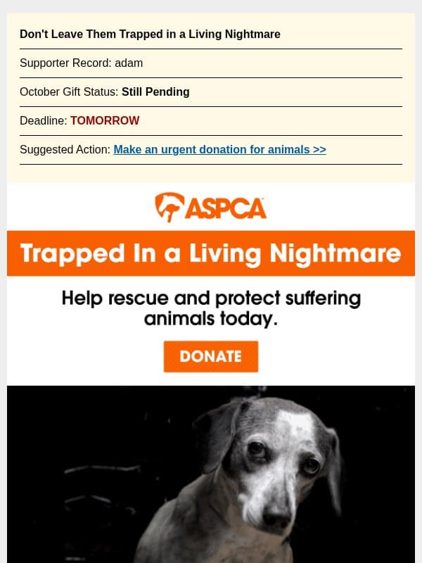 Animals are in desperate need, adam. Can you help? email from ASPCA