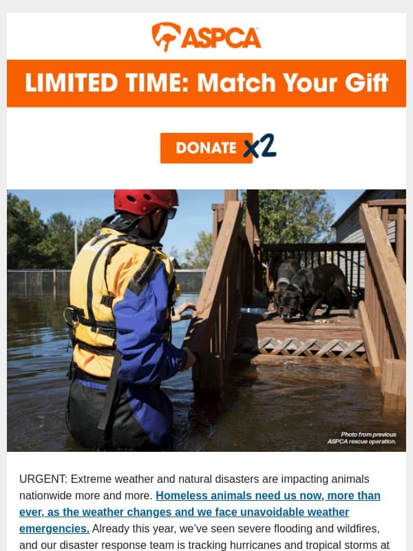 Your gift x2! Donβt miss out, adam! email from ASPCA