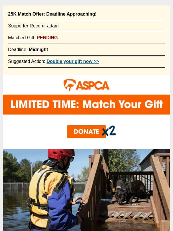 One last chance to match your gift! email from ASPCA