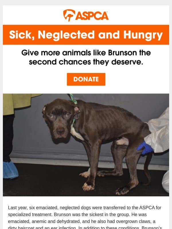 Have you seen Brunson's story, adam? email from ASPCA