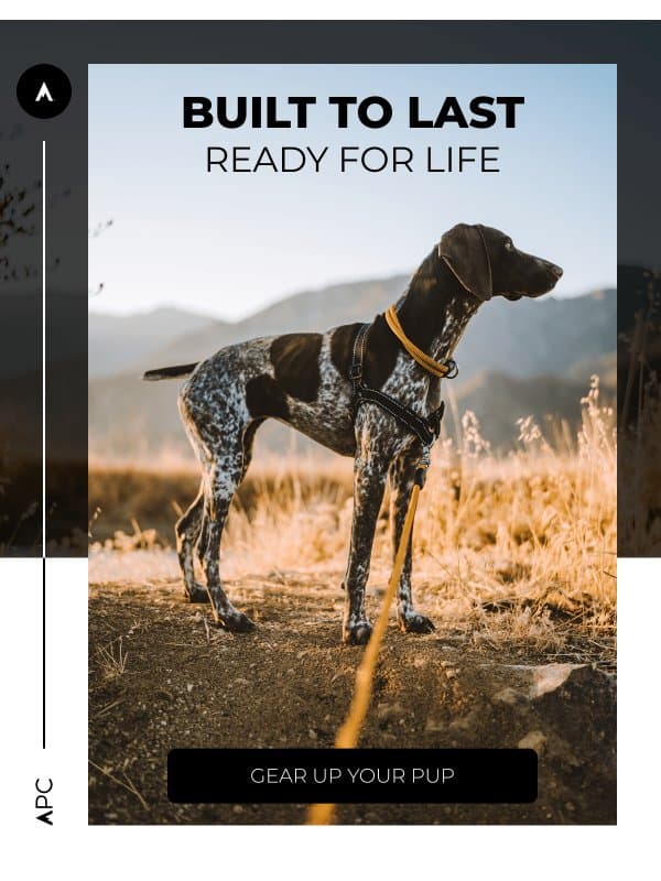 Tough, comfortable and guaranteed for life! email from Atlas Pet Company
