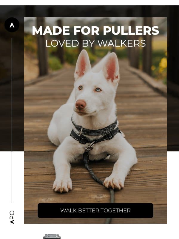 The no-pull harness built for active pups email from Atlas Pet Company