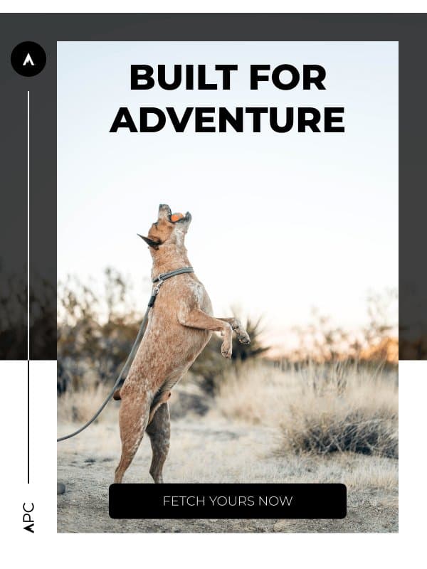 Prep your pup for adventure ๐พ email from Atlas Pet Company