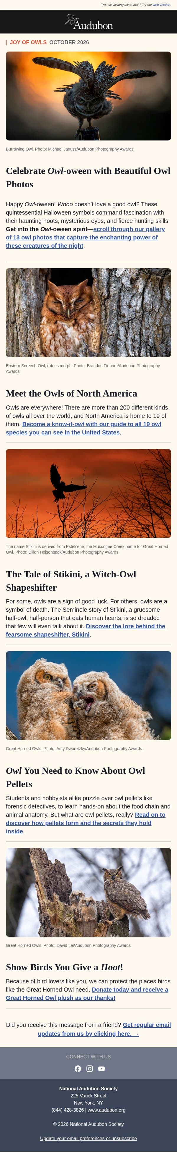 Happy Owl-oween! 🦉🎃 email from Audubon Society screenshot