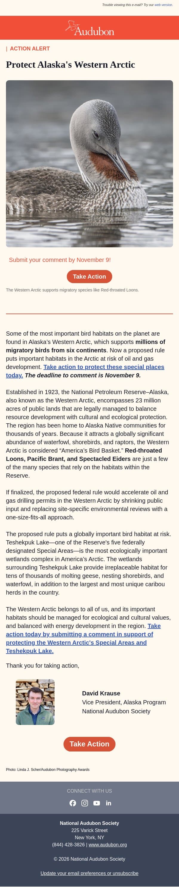 ACT NOW to Protect the Western Arctic email from Audubon Society screenshot