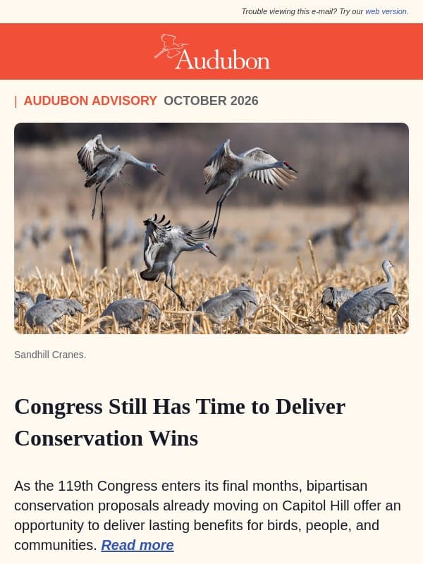 Congress Still Has Time to Deliver Big Wins for Birds email from Audubon Society