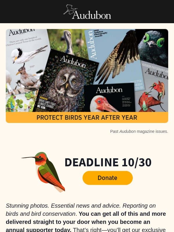 📬 Where should we send your Audubon magazine? Get the Winter issue! email from Audubon Society