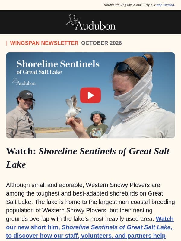 Watch: Great Salt Lake’s Snowy Plover 🎥 email from Audubon Society