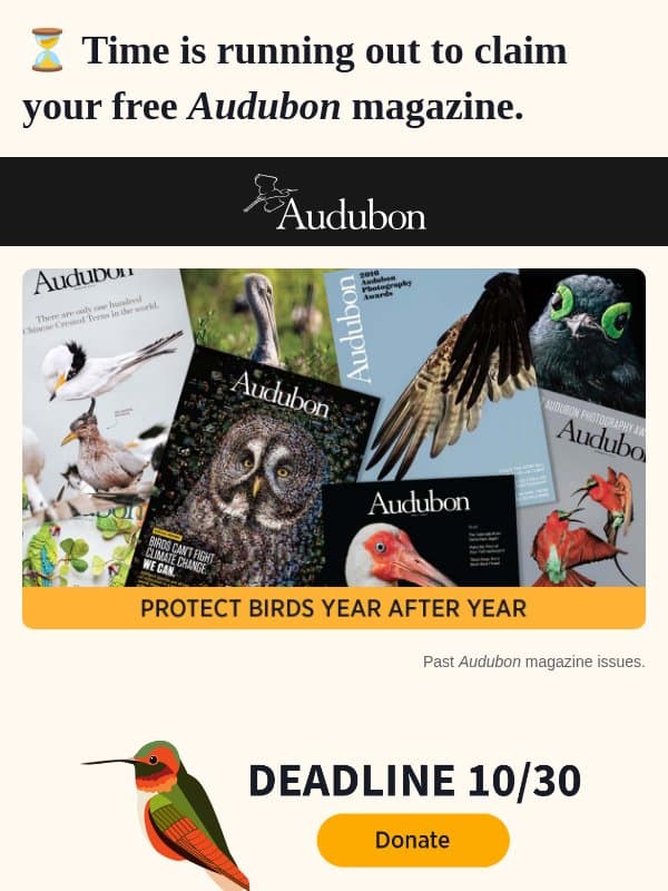 Pssssst! Don’t miss this chance to claim your free Audubon magazine email from Audubon Society