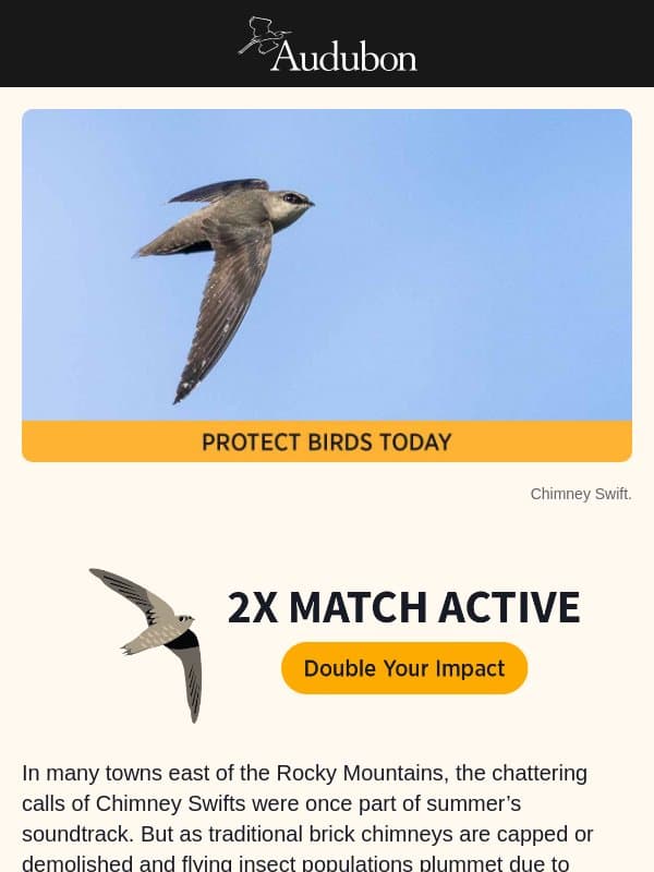 Itโs almost World Migratory Bird Day! Make 2X the impact now >> email from Audubon Society