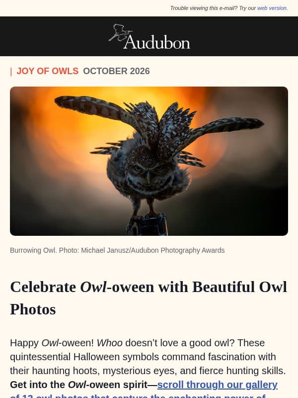 Happy Owl-oween! 🦉🎃 email from Audubon Society