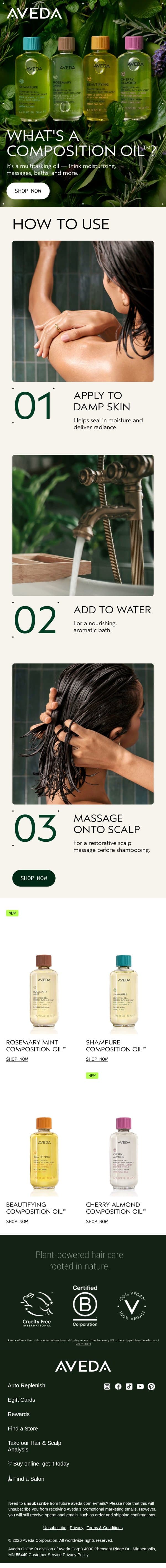 What’s a Composition Oil™? email from Aveda screenshot
