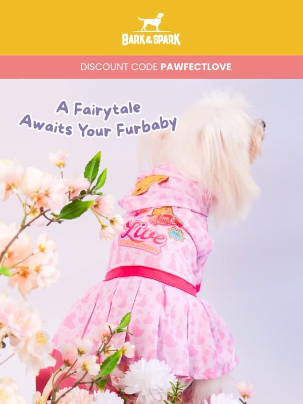 Exclusive Voucher Inside: New Disney Princess Pet Costume email from Bark&Spark