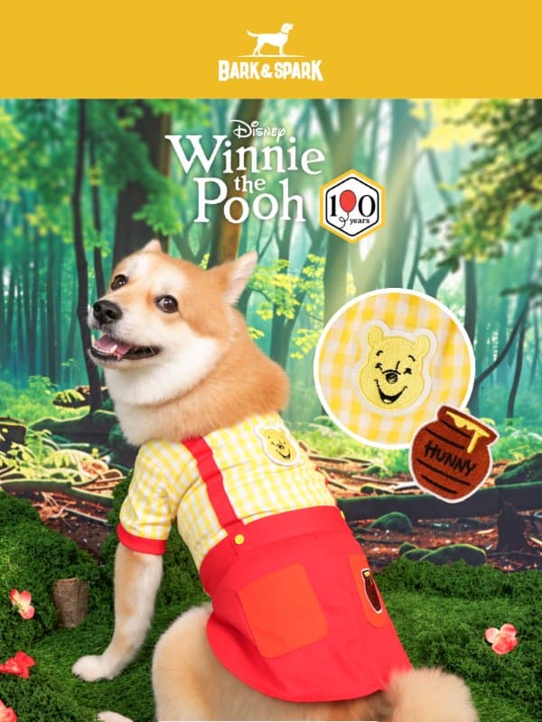 NEW: Winnie the Pooh Lumberjack + A Special Discount! email from Bark&Spark