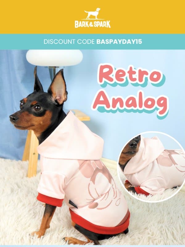 Meet the Mickey Retro Analog Pet Collection email from Bark&Spark