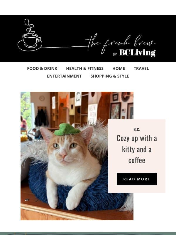 These cafes are the cat's meow 🐱☕ email from BC Business
