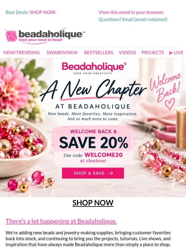 A New Chapter at Beadaholique, Read This and Save 20% email from Beadaholique