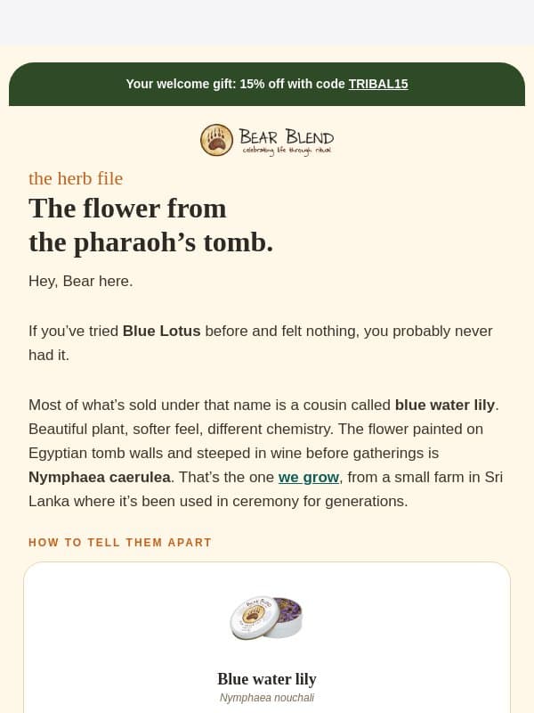 You probably never had the real one. 👁️ email from Bear Blend
