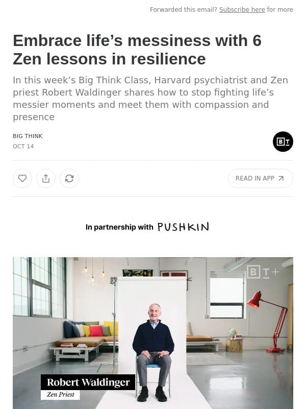 Embrace life’s messiness with 6 Zen lessons in resilience email from Big Think