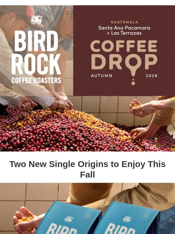 TWO New Coffees from Guatemala! email from Bird Rock Coffee Roasters