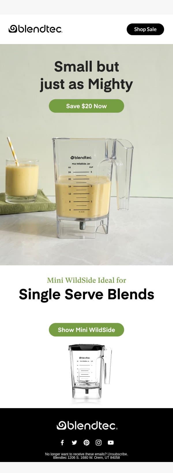 Shop Our Short Sale for Our Mini Jar! email from Blendtec screenshot