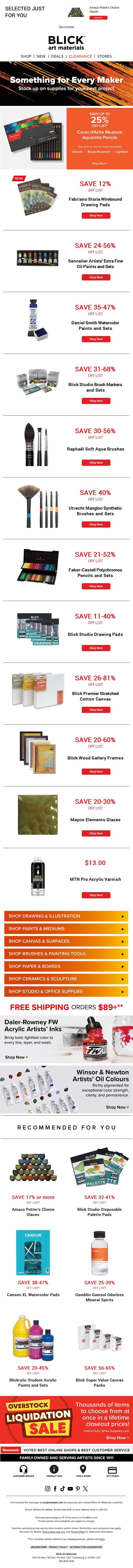 Your Next Creative Project ➡️ email from Blick Art Materials screenshot